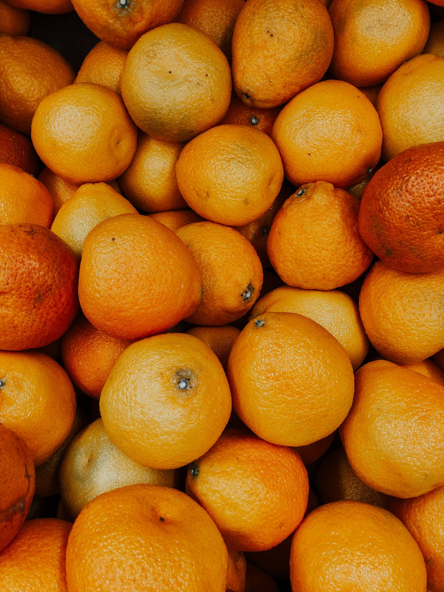 Citron + Olive Leaf