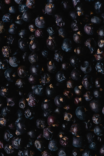 Black Violet + Blonde Woods